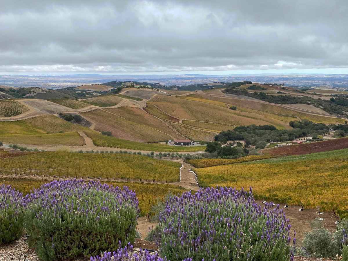 Visiting Paso Robles: The ‘Other’ Wine Country of&nbsp;California
