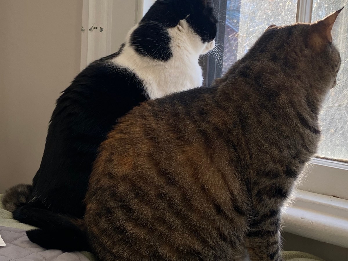 Four Keys to Happiness in&nbsp;2023