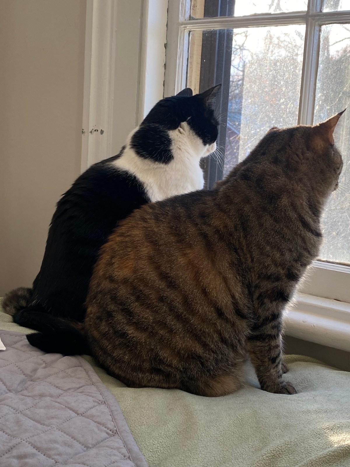 Four Keys to Happiness in&nbsp;2023