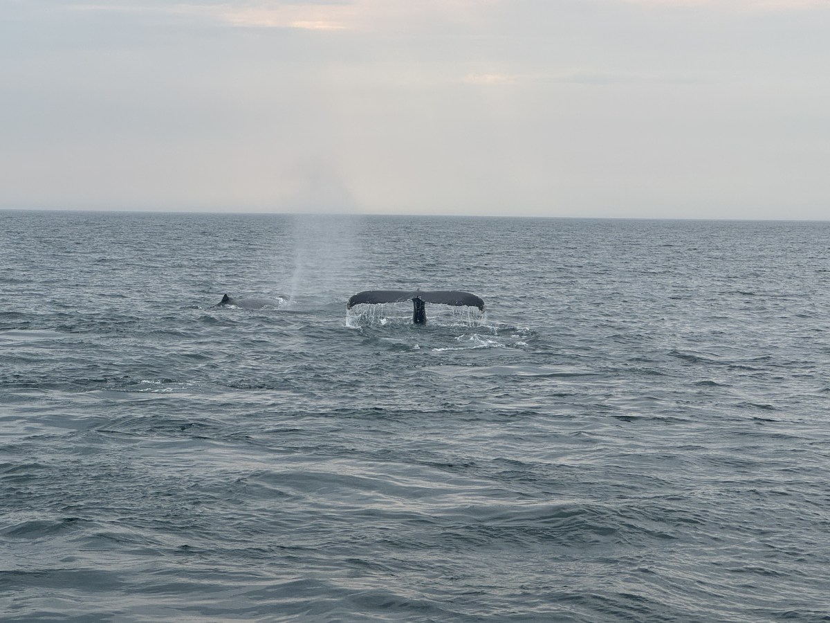 Reflecting on 2024: A Year of Growth and&nbsp;Joy